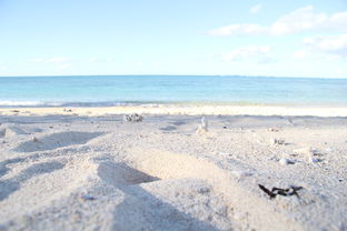 全世界最大的油矿排名前十,世界最大的油田叫什么名字