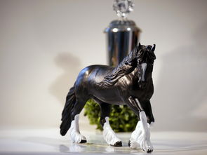 哪种马最值钱,世界上最值钱的青马