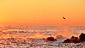 中国最牛的战舰,中国最厉害的战舰是哪一艘