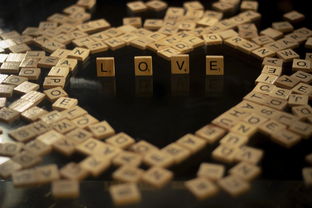 十年前的开放世界游戏叫什么，十年前的开放世界游戏