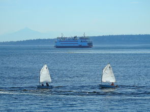 国内最赚钱的港口,中国最赚钱船企业