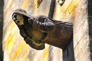 世界上最知名的手术，世界上最牛的手术