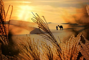 中国最求的人生，人一生最求的是什么