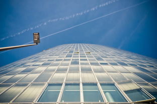 上海有什么做手工的地方，上海世界手工业排名前十