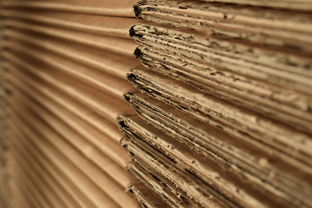 皮筋品牌排行，世界名牌牛皮筋排名前十