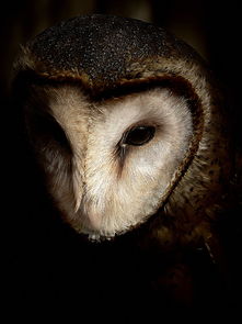 世界上最吓人的达人是谁，世界上最吓人的人长什么样子