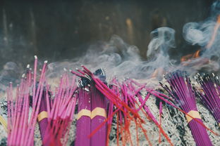 哪位秦王贡献最大，中国最成功的秦王