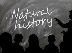 世界上最横的老师，世界上最棒的老师