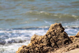 世界海洋排序,世界海洋主要海域排名前十