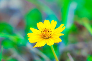 世界门阀排名前十，世界阀门十大名牌排名