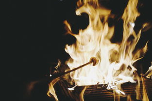 反烧锅炉燃烧视频，反烧锅炉十大排名