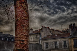 世界上最怪异的古董图片，世界上最怪异的古董图片大全