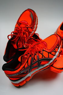 世界上最任性的鞋子是什么，世界上最任性的鞋子